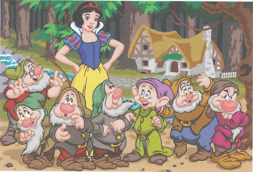 Blanche-Neige & Prof & Joyeux & Grincheux & Atchoum & Dormeur & Timide & Simplet
