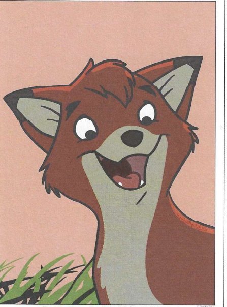 Rox (adulte)