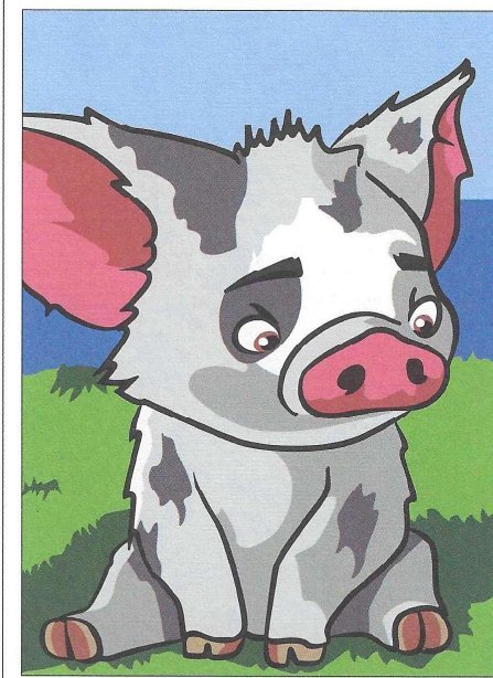 Pua
