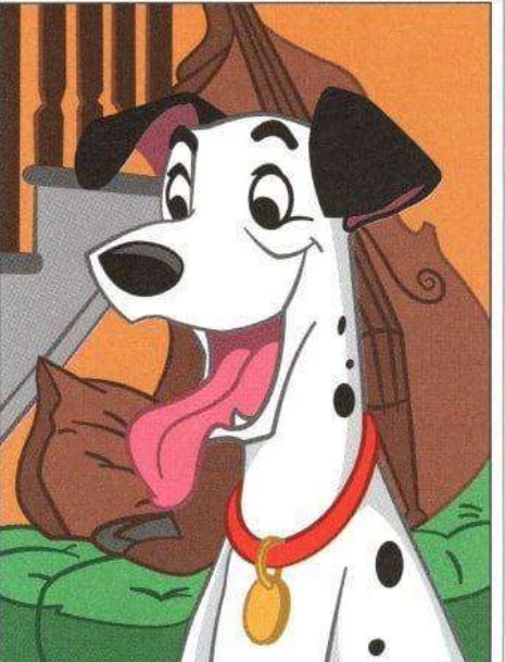 Pongo