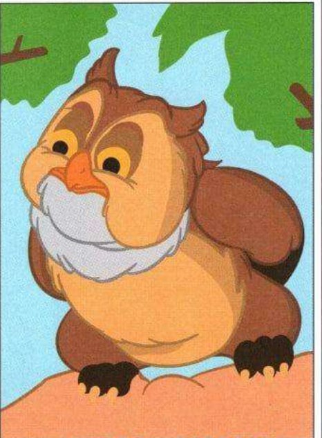 Maître Hibou