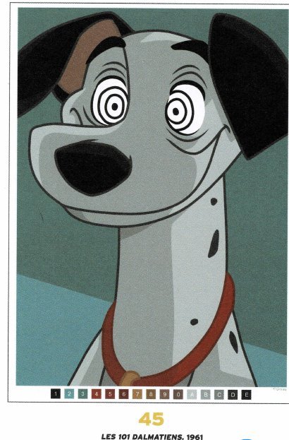 Pongo